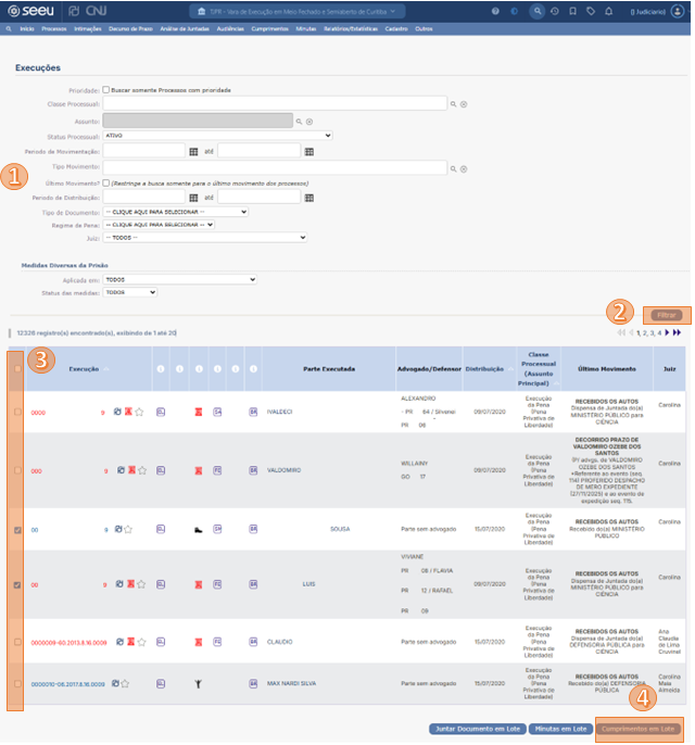 SEEU_CUMPRIMENTOS_LOTE