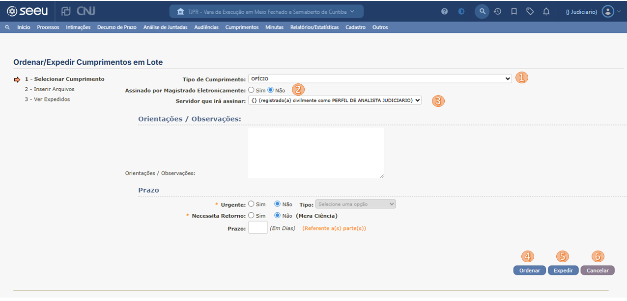 SEEU_CUMPRIMENTOS_LOTE