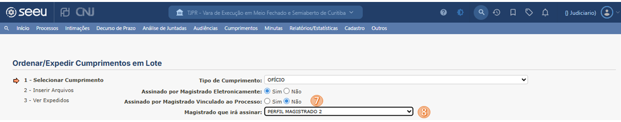 SEEU_CUMPRIMENTOS_LOTE