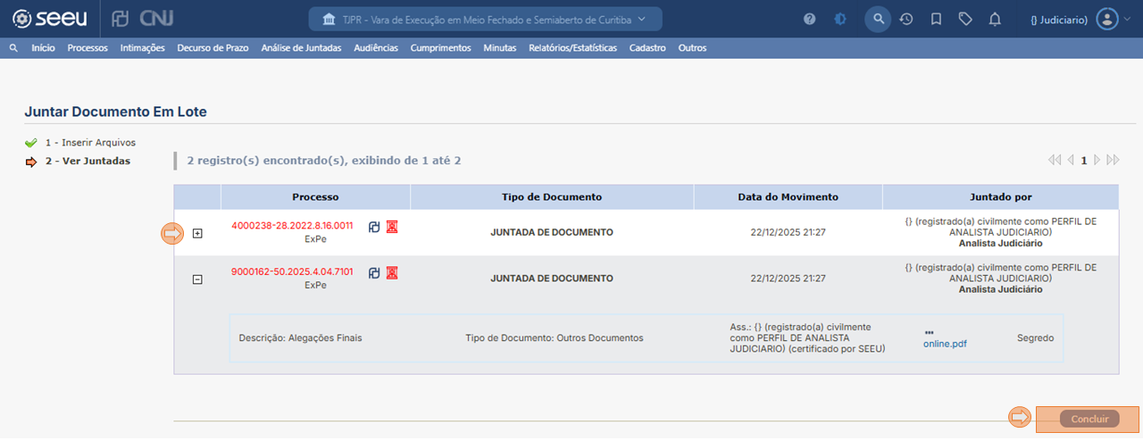 SEEU_JUNTAR_DOCUMENTOS_LOTE