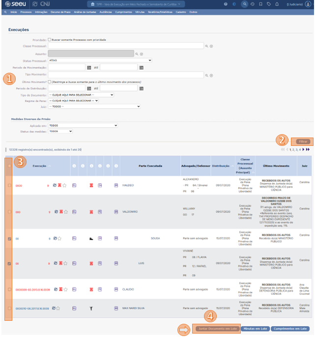 SEEU_JUNTAR_DOCUMENTOS_LOTE