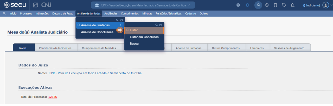 SEEU_JUNTAR_DOCUMENTOS_LOTE